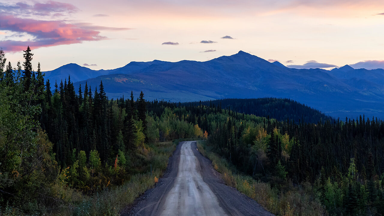 A straight road goes through pine trees leading to mountain in the distance.